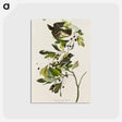 アートポストカード-Small Green Crested Flycatcher from Birds of America
 - アメリカの鳥たち Postcard.
