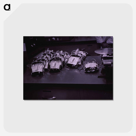 アートポストカード-Arrangement of Plasma Packs by Blood Type
 - 国立医学図書館 Postcard.