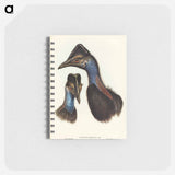 アートメモ帳-Bennett's Cassowary
 - オーストラリアの鳥 Memo.