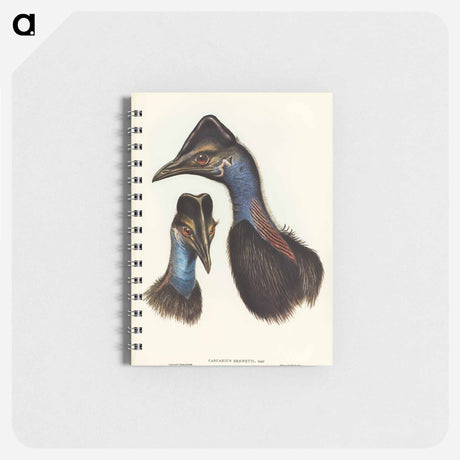 アートメモ帳-Bennett's Cassowary
 - オーストラリアの鳥 Memo.