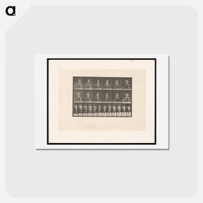 アートポストカード-Sprinting Man
 - エドワード マイブリッジ Postcard.