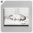 アートパネル-Lying pig - ジャン ベルナール Canvas.