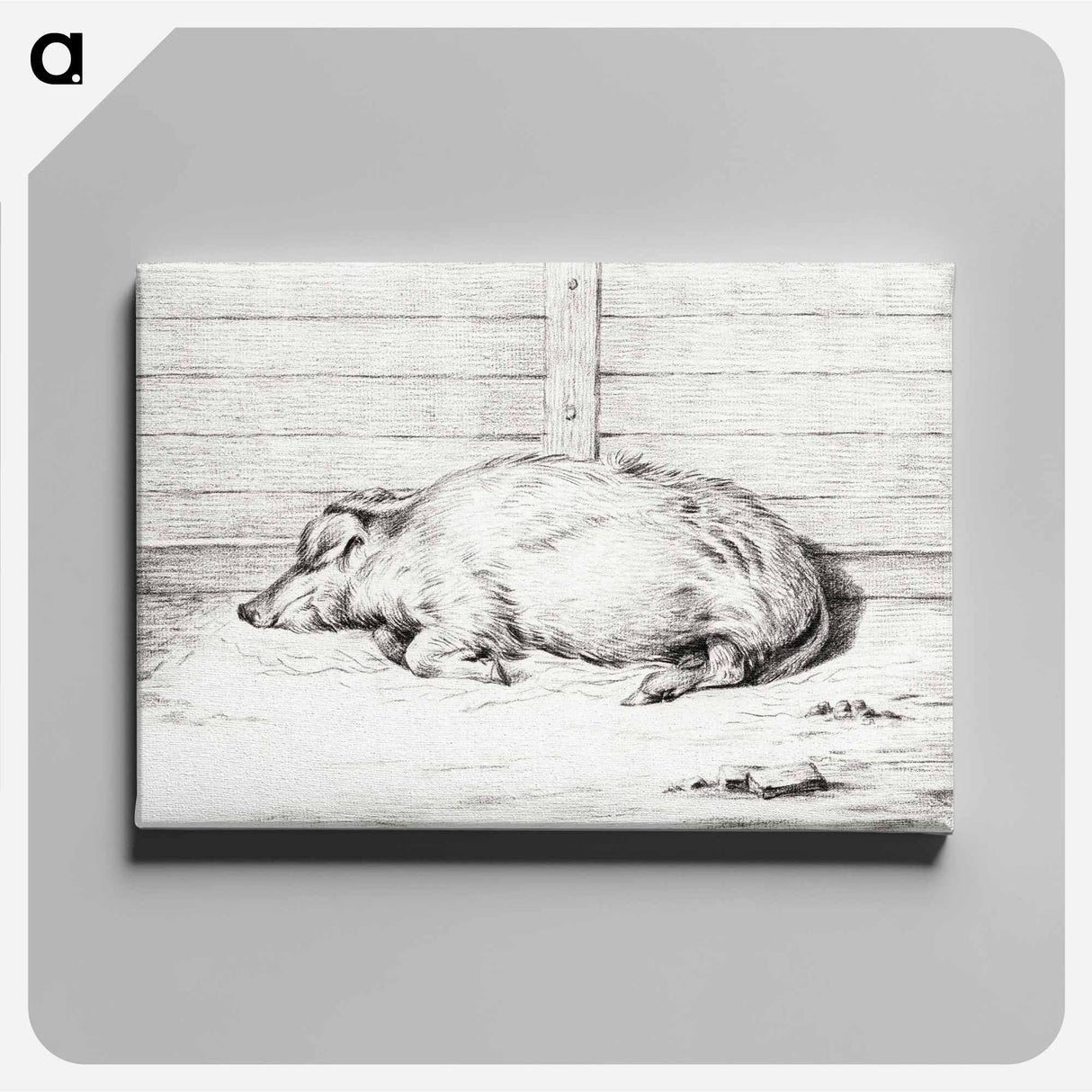 アートパネル-Lying pig - ジャン ベルナール Canvas.