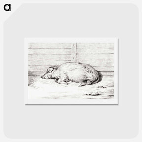 アートポストカード-Lying pig - ジャン ベルナール Postcard.