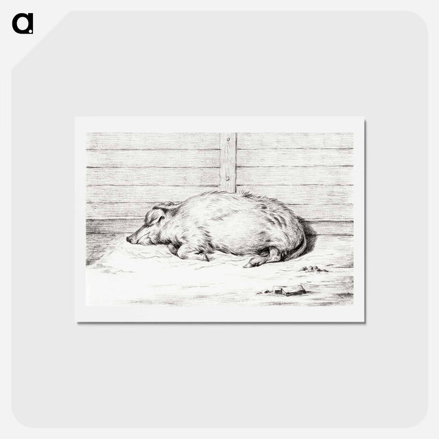 アートポストカード-Lying pig - ジャン ベルナール Postcard.