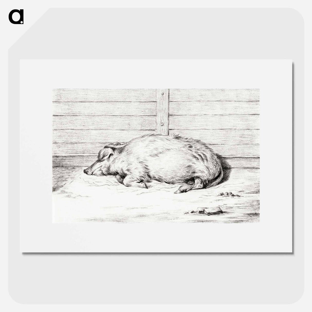 Lying pig - ジャン ベルナール Poster.