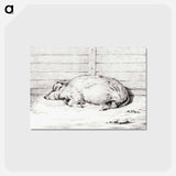 アートポストカード-Lying pig - ジャン ベルナール Postcard.