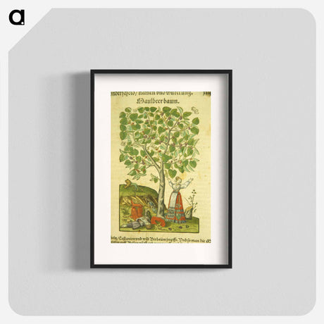 アートポスター-Maulbeer Baum
 - 国立医学図書館 Poster.
