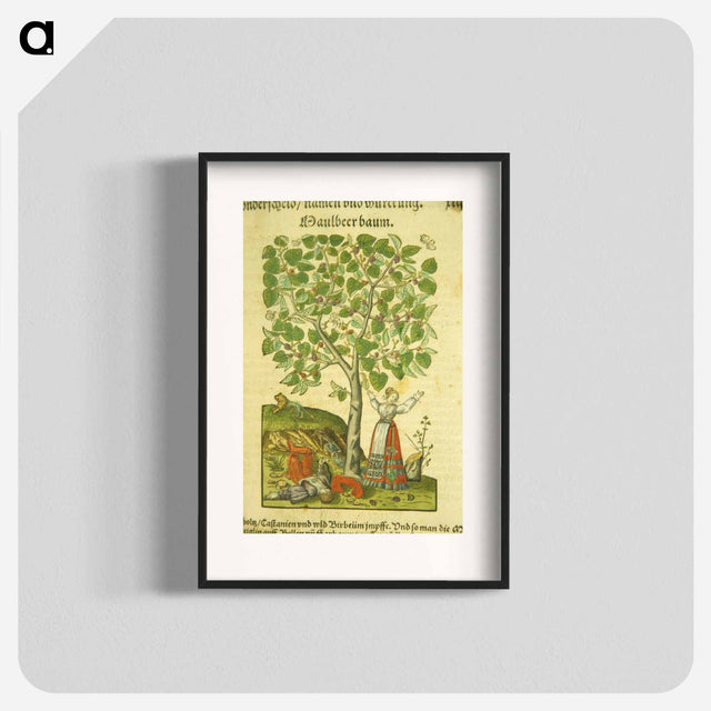 アートポスター-Maulbeer Baum
 - 国立医学図書館 Poster.