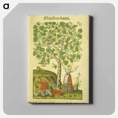 アートパネル-Maulbeer Baum
 - 国立医学図書館 Canvas.