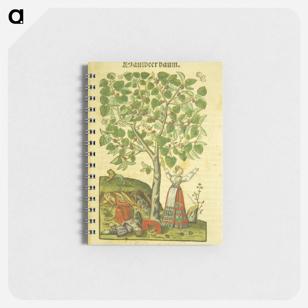 アートメモ帳-Maulbeer Baum
 - 国立医学図書館 Memo.