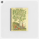 アートメモ帳-Maulbeer Baum
 - 国立医学図書館 Memo.