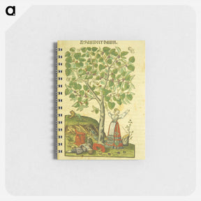 アートメモ帳-Maulbeer Baum
 - 国立医学図書館 Memo.