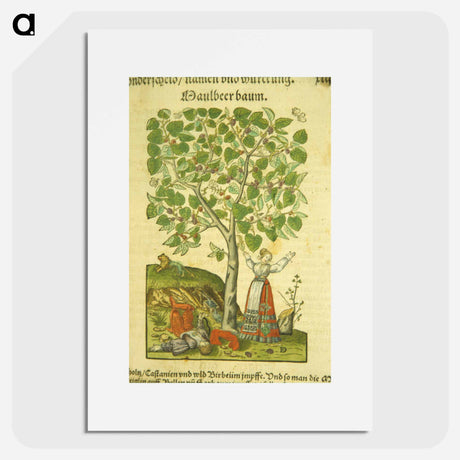 アートポスター-Maulbeer Baum
 - 国立医学図書館 Poster.