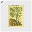 アートポストカード-Maulbeer Baum
 - 国立医学図書館 Postcard.