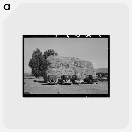 アートポストカード-Haystack and Peach Pickers
 - ラッセル リー Postcard.