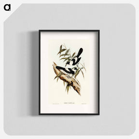 アートポスター-Kaup's Flycatcher
 - オーストラリアの鳥 Poster.