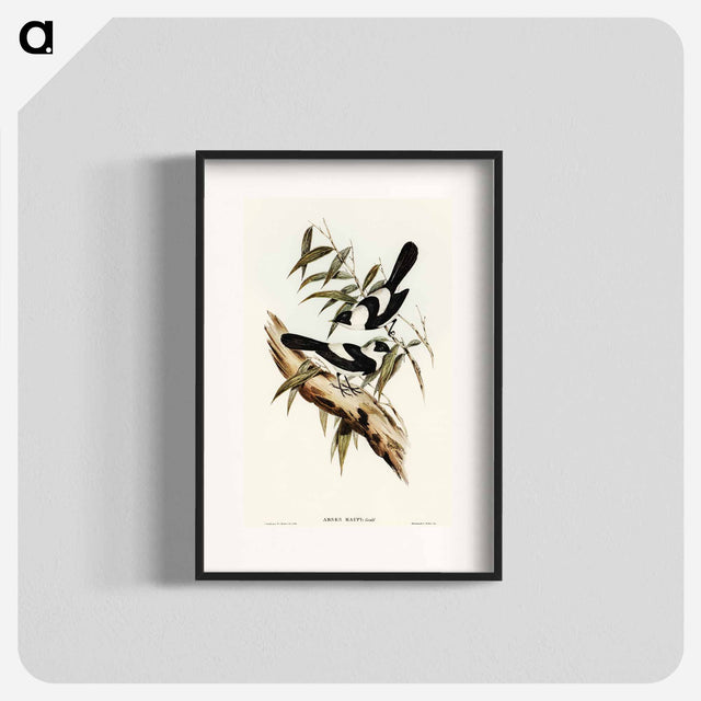 アートポスター-Kaup's Flycatcher
 - オーストラリアの鳥 Poster.