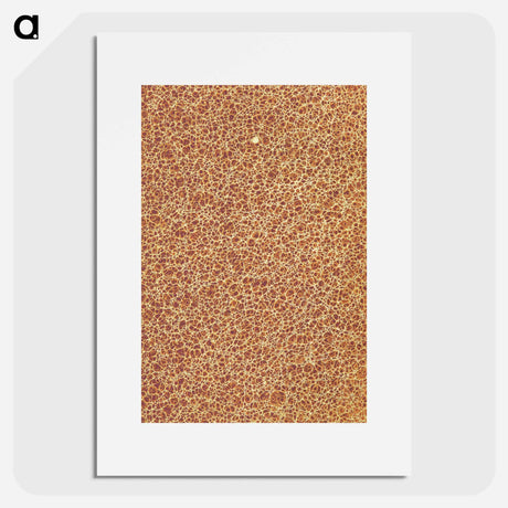 アートポスター-Decorative Paper from Histoire de la Belgique
 - 大英図書館 Poster.