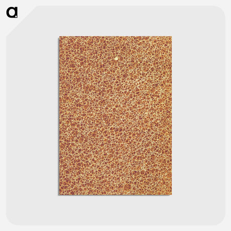 アートポストカード-Decorative Paper from Histoire de la Belgique
 - 大英図書館 Postcard.