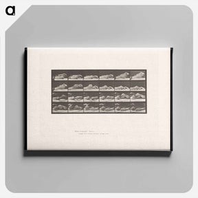 アートパネル-Passing the Pencil
 - エドワード マイブリッジ Canvas.