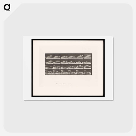 アートポストカード-Passing the Pencil
 - エドワード マイブリッジ Postcard.