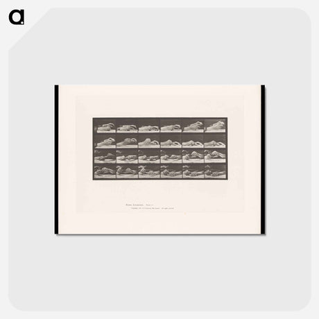 アートポストカード-Passing the Pencil
 - エドワード マイブリッジ Postcard.