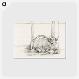 アートポストカード-Lying cow - ジャン ベルナール Postcard.