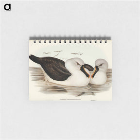 アートメモ帳-Yellow-billed Albatross
 - ジョン グールド Memo.