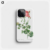 Celery-Leaved Variety of Cabbage Rose, Rosa centifolia bipinnata - ピエール ジョゼフ ルドゥーテ Phone Case.