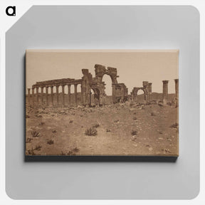 アートパネル-Palmyra: Triumphal Arch and Colonnade
 - セントルイス美術館 Canvas.