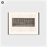 アートポストカード-Water Bearer
 - エドワード マイブリッジ Postcard.