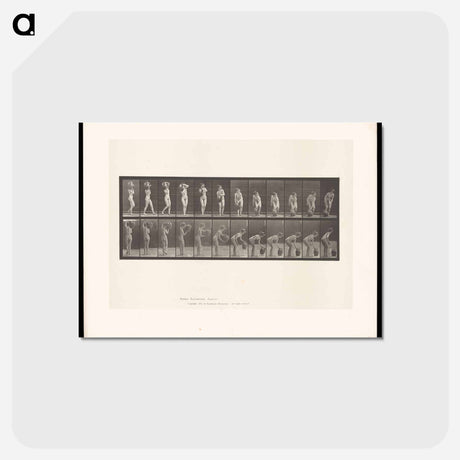 アートポストカード-Water Bearer
 - エドワード マイブリッジ Postcard.