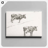 アートパネル-Two sketches of a standing cow - ジャン ベルナール Canvas.