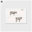アートポストカード-Two sketches of a standing cow - ジャン ベルナール Postcard.