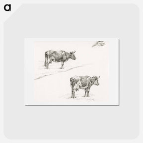 アートポストカード-Two sketches of a standing cow - ジャン ベルナール Postcard.