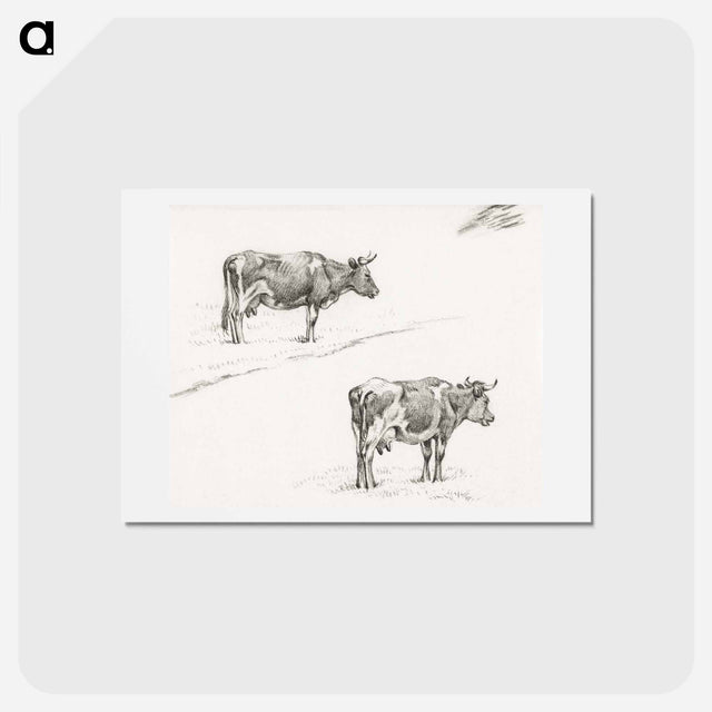 アートポストカード-Two sketches of a standing cow - ジャン ベルナール Postcard.