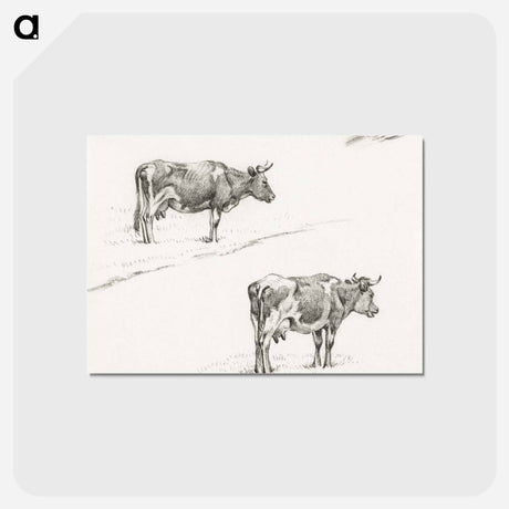 アートポストカード-Two sketches of a standing cow - ジャン ベルナール Postcard.
