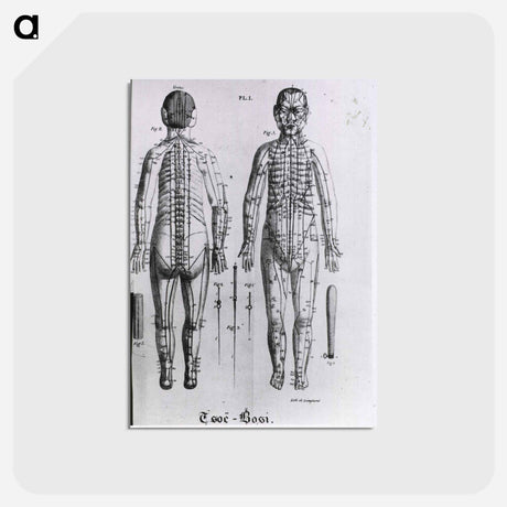 アートポストカード-La
 - 国立医学図書館 Postcard.