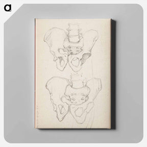 アートパネル-(unknown) part of a sketchbook - アルバート エーデルフェルト Canvas.