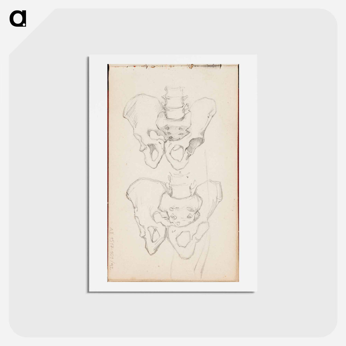 アートポストカード-(unknown) part of a sketchbook - アルバート エーデルフェルト Postcard.