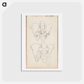 アートポストカード-(unknown) part of a sketchbook - アルバート エーデルフェルト Postcard.