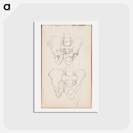 アートポストカード-(unknown) part of a sketchbook - アルバート エーデルフェルト Postcard.