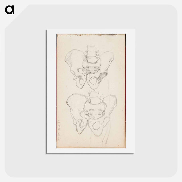 アートポストカード-(unknown) part of a sketchbook - アルバート エーデルフェルト Postcard.