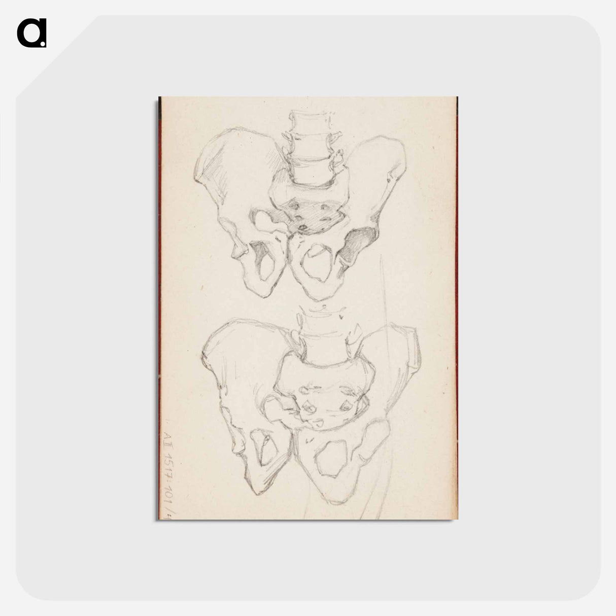 アートポストカード-(unknown) part of a sketchbook - アルバート エーデルフェルト Postcard.