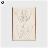 アートポストカード-(unknown) part of a sketchbook - アルバート エーデルフェルト Postcard.