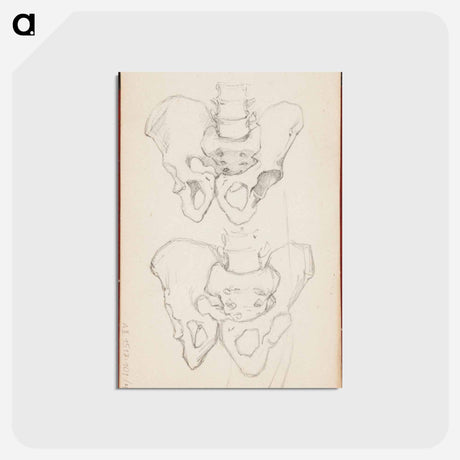 アートポストカード-(unknown) part of a sketchbook - アルバート エーデルフェルト Postcard.