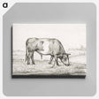 アートパネル-Grazing bull in a pasture - ジャン ベルナール Canvas.