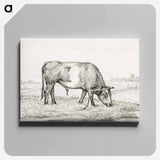 アートパネル-Grazing bull in a pasture - ジャン ベルナール Canvas.