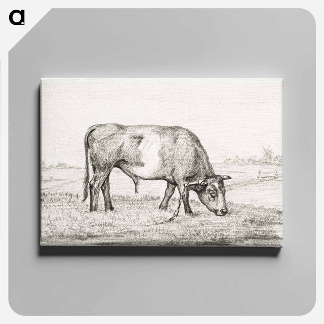 アートパネル-Grazing bull in a pasture - ジャン ベルナール Canvas.
